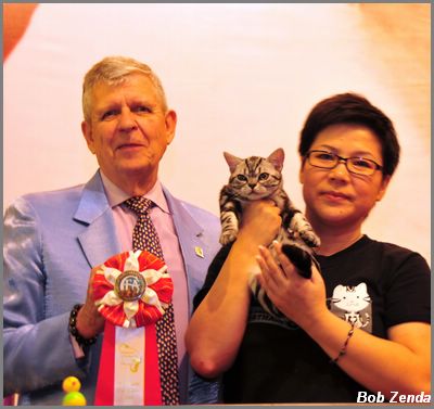 Cat Life Xiao Mo Gu